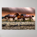 Recherche de course de chevaux posters Animal