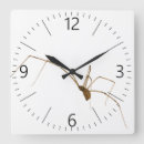 Recherche de araignée halloween horloges Horreur