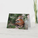 Suche nach bengalisch karten Foto