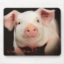 Recherche de krouik krouik Porc