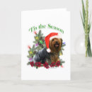 Suche nach yorkshire karten Terrier