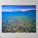Recherche de bear posters Usa