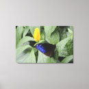 Suche nach gestreifte poster leinwandbilder Natur