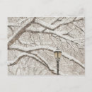Suche nach schneebedeckte bäume postkarten Usa