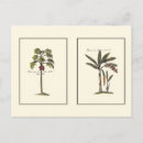 Recherche de encadrement cartes postales Botanique