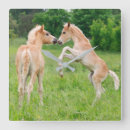 Suche nach niedliches pferd wanduhren Pony