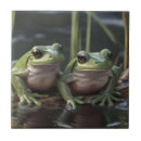 Recherche de grenouilles carreaux Amphibien