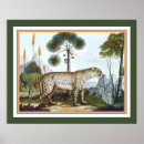 Suche nach afrikanischer tiger poster Löwe