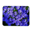 Suche nach blaue blumen magnete Foto