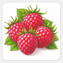 Suche nach reifen aufkleber Beeren