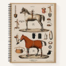 Recherche de course carnets Cheval
