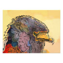 Recherche de rapaces posters Animaux