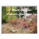 Suche nach colorado kalender Blume