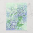 Suche nach hydrangea postkarten Aquarell