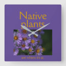 Suche nach native wanduhren Nature