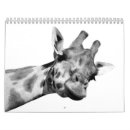 Recherche de girafe bureau fournitures Portrait