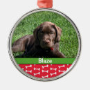 Suche nach hundeknochen ornamente Für haustiere