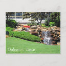 Suche nach galveston texas postkarten Reisen