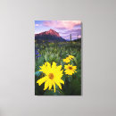 Suche nach wiesen leinwandbilder Landschaft