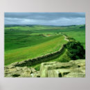 Suche nach hadrian poster Wand