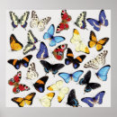 Suche nach vintage insekten poster Blau