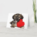 Suche nach dog lover karten Bezaubernd