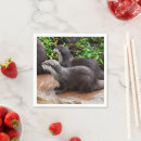 Recherche de loutres serviettes Animaux