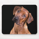 Suche nach mausmatte mousepads Hund