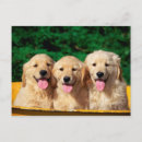 Suche nach niedliche hunde postkarten Tiere
