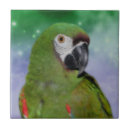 Suche nach papagei macaw fliesen Papageien