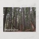 Suche nach washington state postkarten Staat