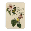 Recherche de j aile magnets Illustration