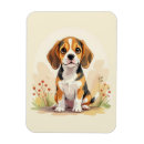 Recherche de chiot de beagle magnets Chiens