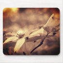 Suche nach hartriegel mousepads Natur