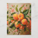 Recherche de fruit juteux cartes postales Pêche