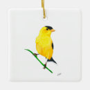 Suche nach goldschmiede ornamente Für vogelbeobachter