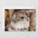 Recherche de hamster invitations Rongeur