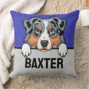 Recherche de australian shepherd coussins Australishepherd
