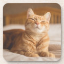 Suche nach schläfrige katze Müde