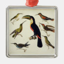 Suche nach humboldt ornamente Alexander
