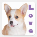 Suche nach pembroke corgi aufkleber Welpe