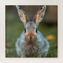 Suche nach russisch blau puzzle Haustier