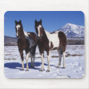 Suche nach malen sie pferde mousepads Stehend