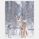 Suche nach winterzeit Wald