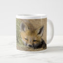 Recherche de le colorado tasses Faune