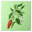 Suche nach paprika fliesen Chili
