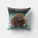Suche nach orang utan kissen Borneo
