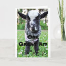 Suche nach beginner karten Für kinder