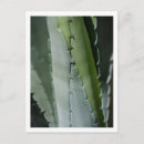 Recherche de macro cartes postales Floral
