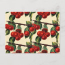 Recherche de cerises rouges cartes postales Illustration